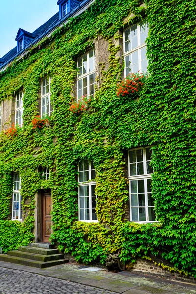 緑のツタで覆われた古い家 — ストック写真