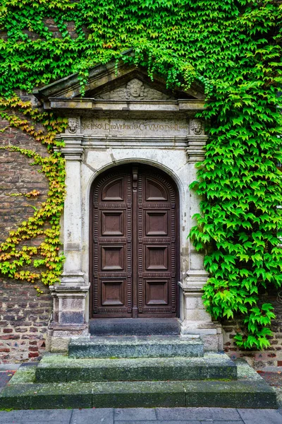 Rustieke Houten Deur Ingang Bedekt Met Prachtige Groene Bladeren — Stockfoto