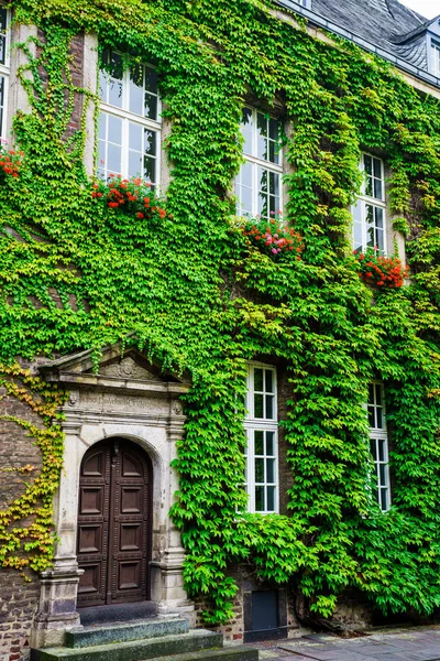 Güzel yeşil yapraklarla kaplı rustik ahşap kapı giriş