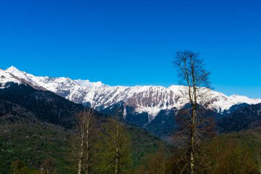 Caucasus dağ doruklarına güzel manzara kar ile kaplı
