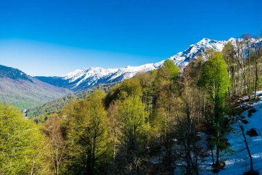 Caucasus dağ doruklarına güzel manzara kar ile kaplı