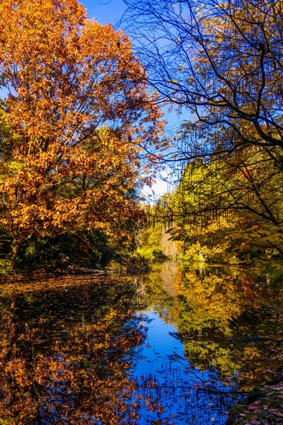 Prachtige Landschap Kleurrijke Herfst Scène — Stockfoto