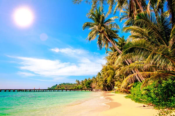 Mooi Strand Tropische Zee Palm Tropisch Strand — Stockfoto