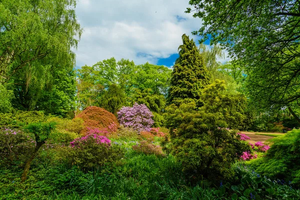 Belo Jardim Primavera — Fotografia de Stock