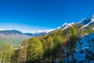 Caucasus dağ doruklarına güzel manzara kar ile kaplı