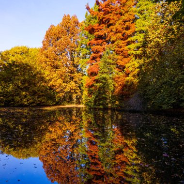 Muhteşem manzara. Renkli sonbahar sahne
