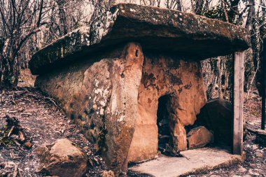 Dolmen ormanın içinde. Gizemli dolmen