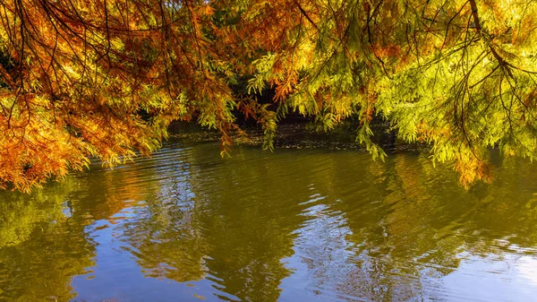 Prachtige Landschap Kleurrijke Herfst Scène — Stockfoto