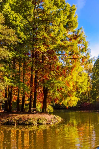Wspaniały Krajobraz Kolorowe Sceny Jesień — Zdjęcie stockowe