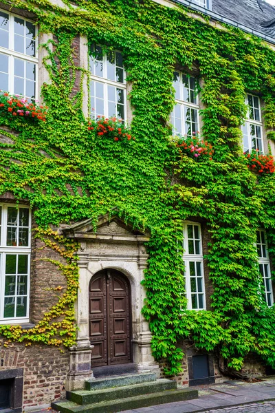 美しい緑の葉で覆われている素朴な木製玄関口 — ストック写真
