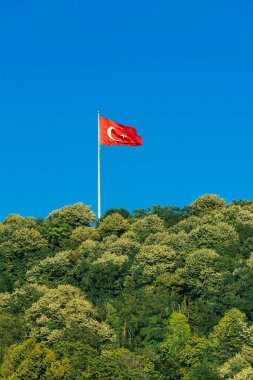 Türkiye'nin bayrak uçan üzerinde orman