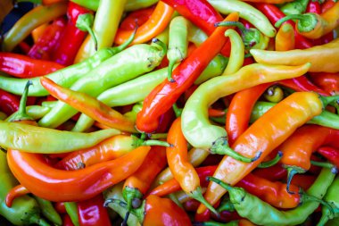 çok renkli biber. sıcak biber arka plan