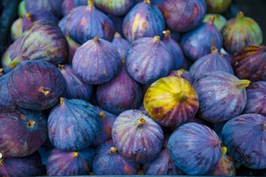 taze meyve incir arka plan