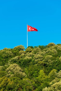 Türkiye'nin bayrak uçan üzerinde orman