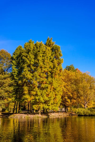 Wunderbare Landschaft Bunte Herbstszene — Stockfoto