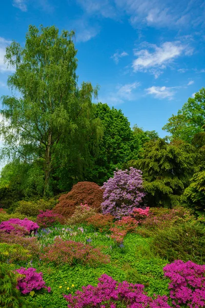 Hermoso Paisaje Primavera Naturaleza —  Fotos de Stock