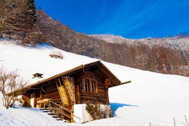 kışın güzel arka plan