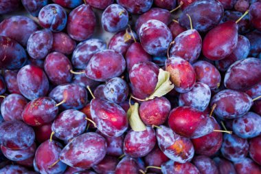 Arkaplan olarak olgun sulu erikler