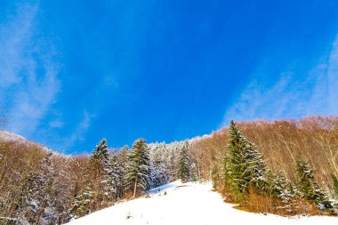 kışın güzel arka plan