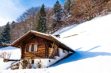 kışın güzel arka plan