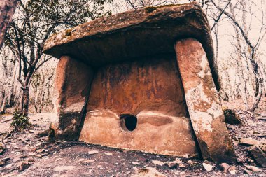 Dolmen ormanın içinde. Gizemli dolmen