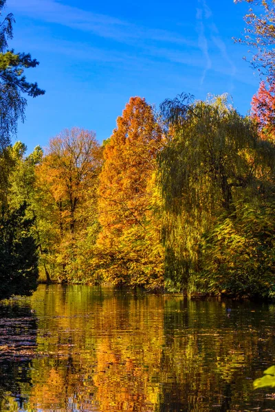 Πολύχρωμα Χρώματα Του Φθινοπώρου Στο Δάσος — Φωτογραφία Αρχείου