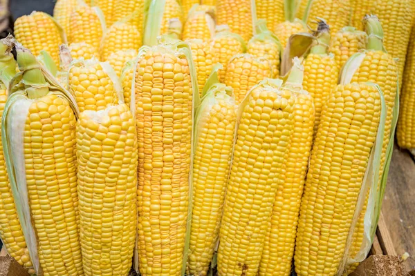 Ruwe Maïs Markt — Stockfoto