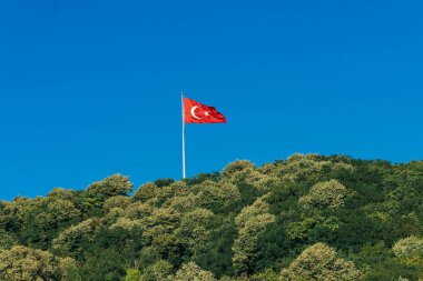 Türkiye'nin bayrak uçan üzerinde orman