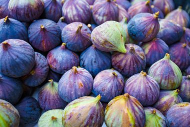 taze meyve incir arka plan