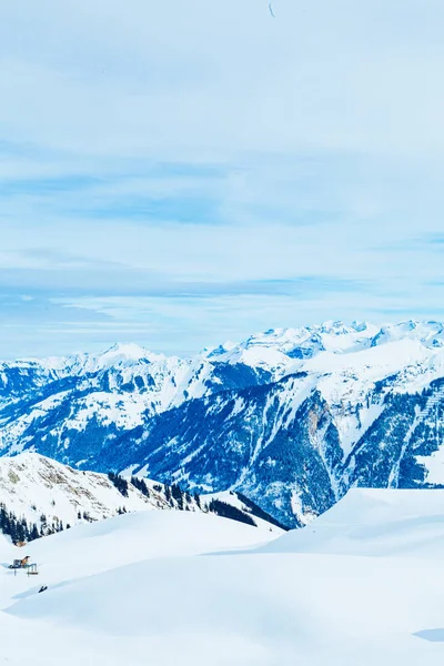 Paesaggio Invernale Alberi Coperti Neve — Foto Stock