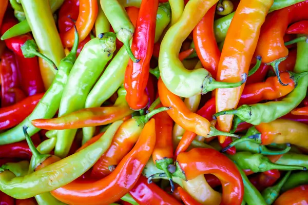 çok renkli biber. sıcak biber arka plan