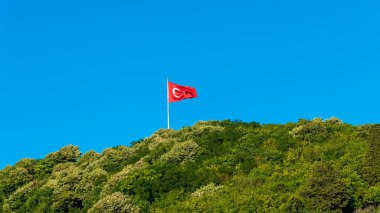 Türkiye'nin bayrak uçan üzerinde orman