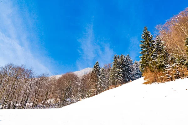 Schöner Hintergrund Des Winters — Stockfoto