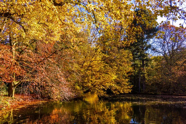 Nádhernou Krajinu Barevný Podzim Scéna — Stock fotografie