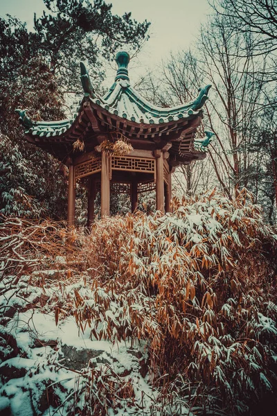 Пагода Покрытая Белым Снегом — стоковое фото