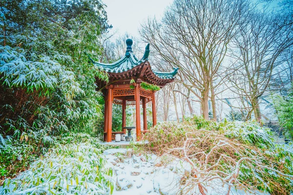 Pagoda Covered White Snow — Stock Photo, Image