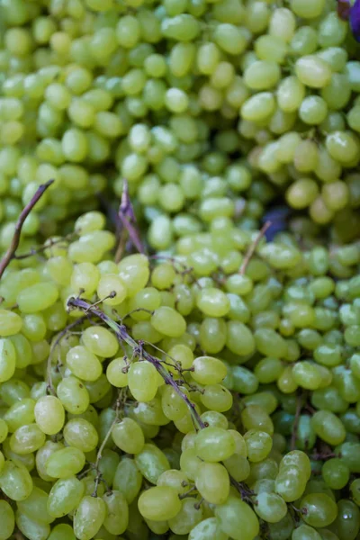 Uvas Mercado Uvas Verdes Frescas Uvas Púrpuras —  Fotos de Stock