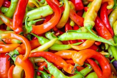 çok renkli biber. sıcak biber arka plan