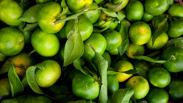 Mandarinas Verdes Naranjas Verdes Inmaduras —  Fotos de Stock