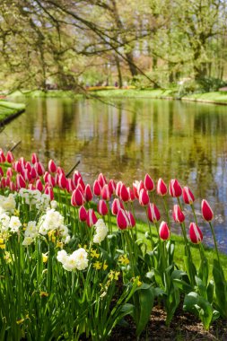 Renkli bahar resmi Bahçe