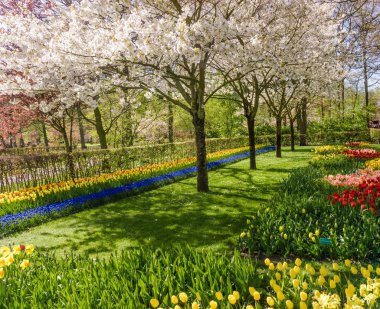 Renkli bahar resmi Bahçe
