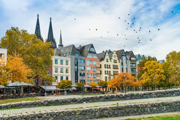 Many Cologne Colorful Houses Cologne Germany — Stock Photo, Image