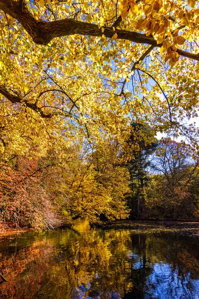 Underbara Landskap Färgglad Höst Scen — Stockfoto