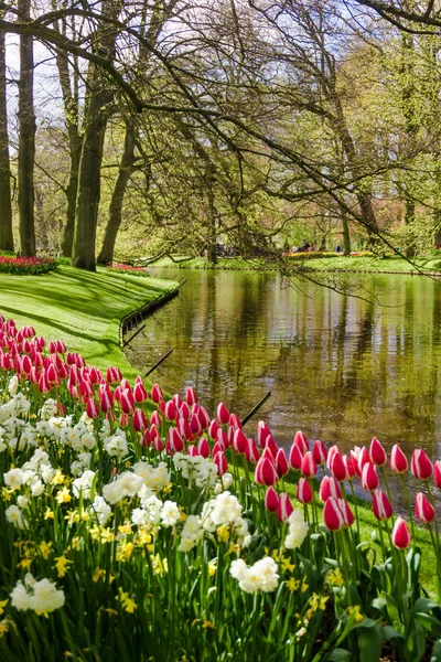 Tuinlandschap Tuin Het Voorjaar — Stockfoto