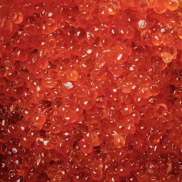 赤キャビアの背景 グルメ食品 — ストック写真