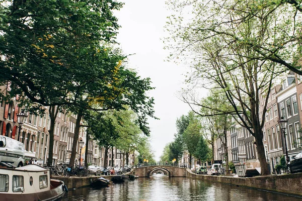Amsterdam, Hollanda - 5 Eylül 2017: Yeşil ağaçlar şehrin eski kanallar yakınındaki