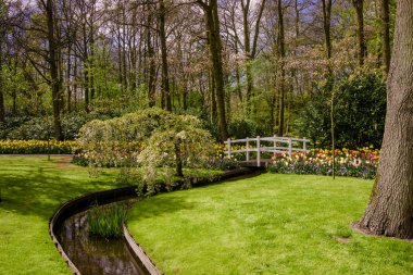 Renkli bahar resmi Bahçe