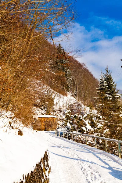Beautiful Background Winter — Stock Photo, Image