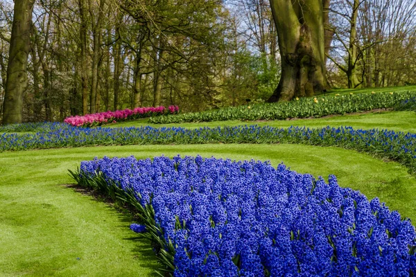 Colorido Jardín Formal Primavera —  Fotos de Stock