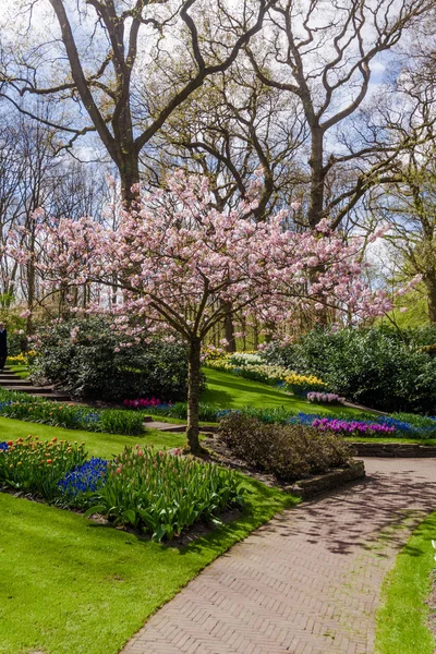 Colourful Spring Formal Garden — Stock Photo, Image